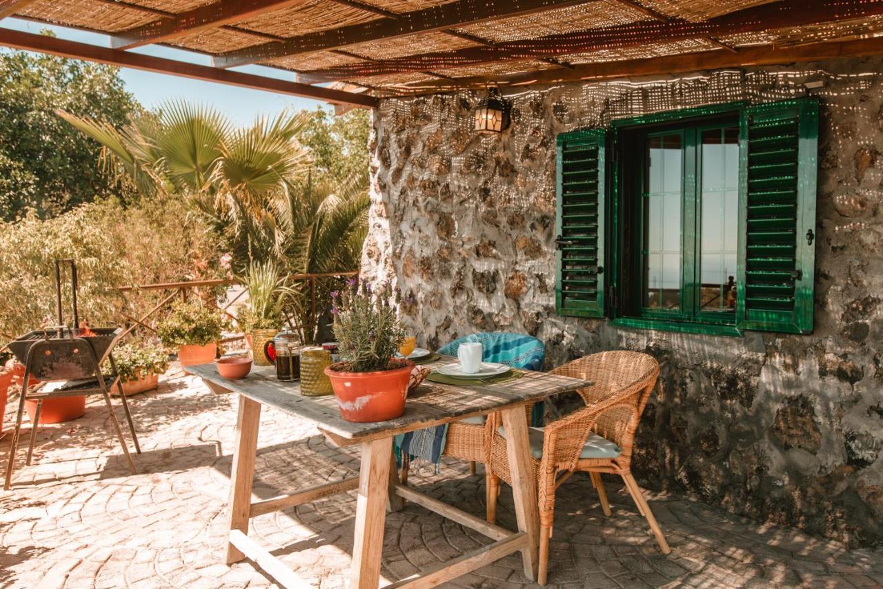 Finca Los Llanitos Guía de Isora Екстериор снимка